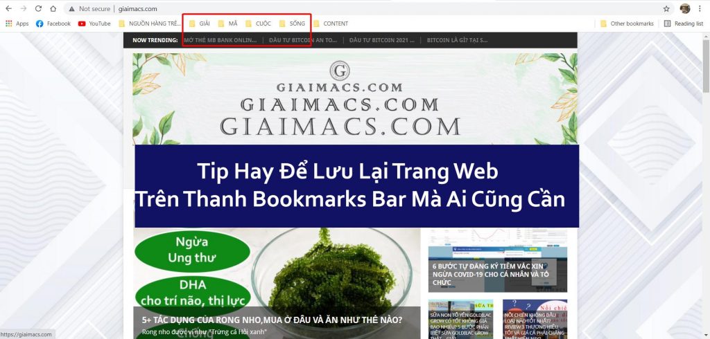 Tip Hay Để Lưu Lại Trang Web Trên Thanh Bookmarks Bar Mà Ai Cũng Cần